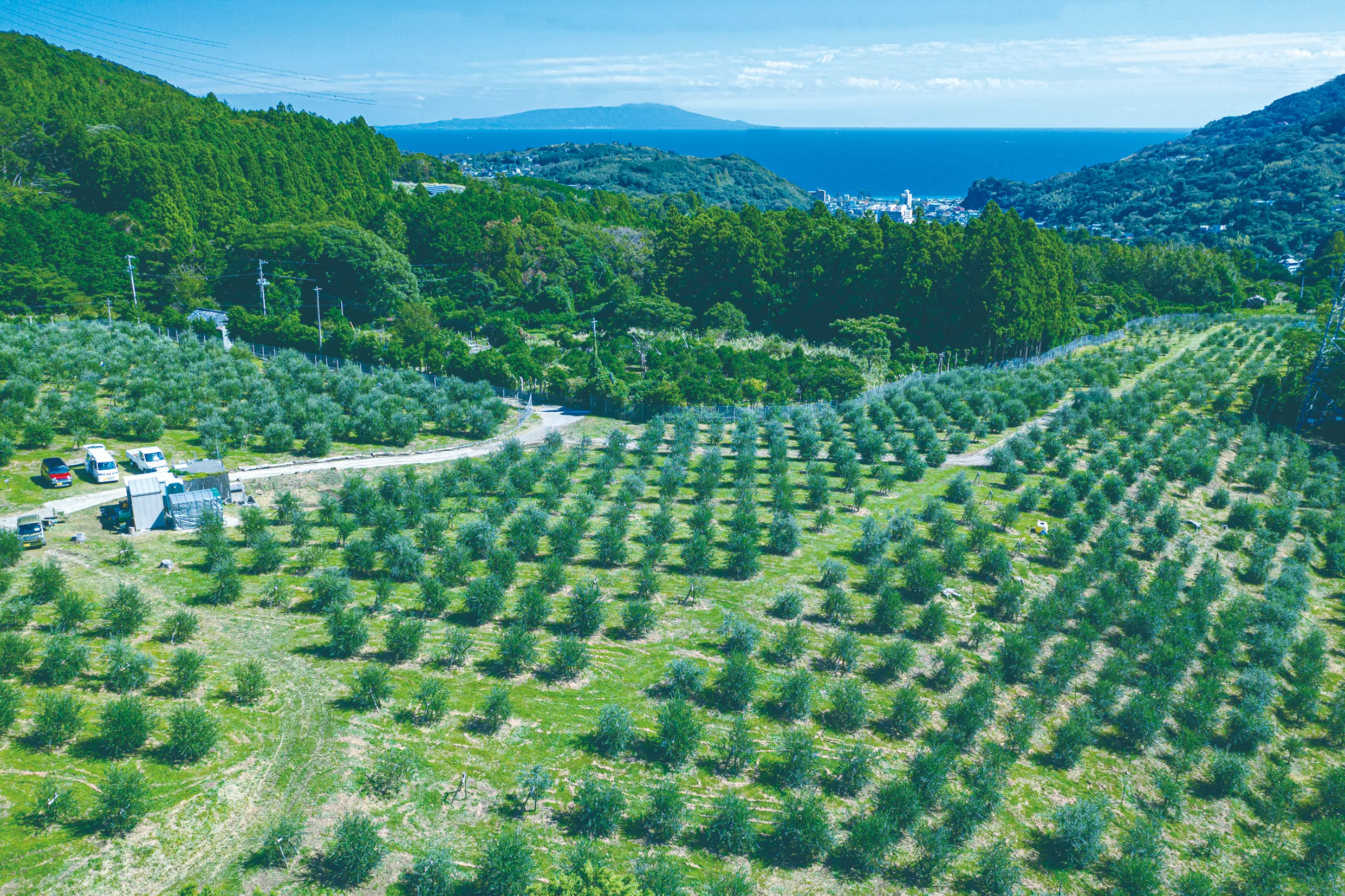 画像がありません