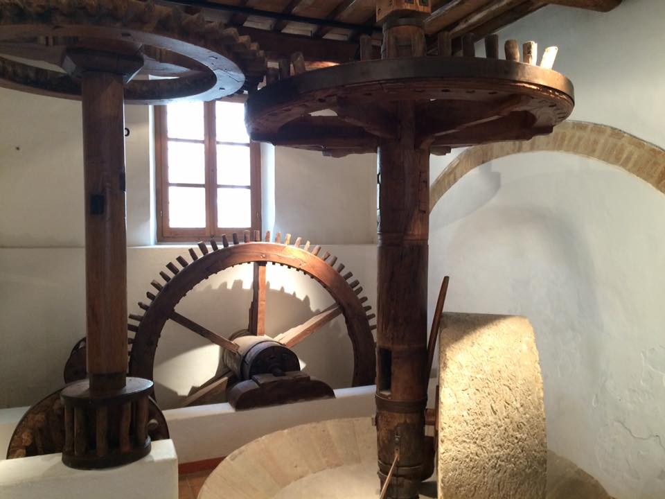 13267706_576808269160197_5280127470393747211_n