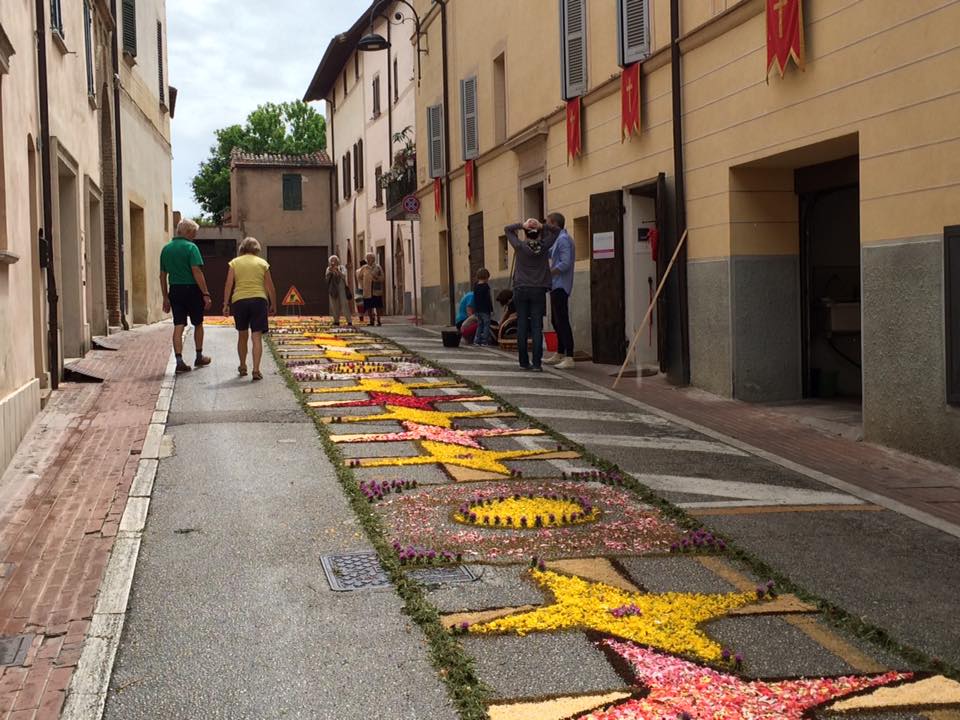 13321678_576811839159840_5911995449482733980_n