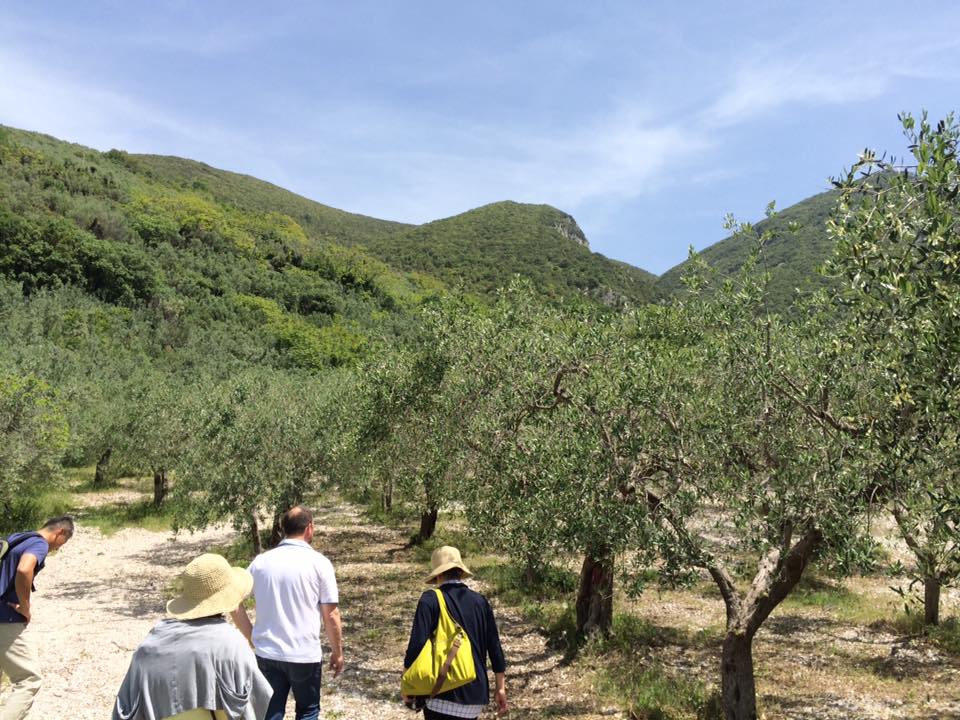 イタリア視察に行ってきました！ part1