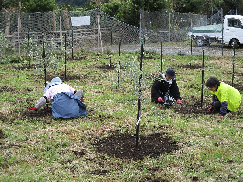 共同研究農家の皆さんと圃場整備を行いました