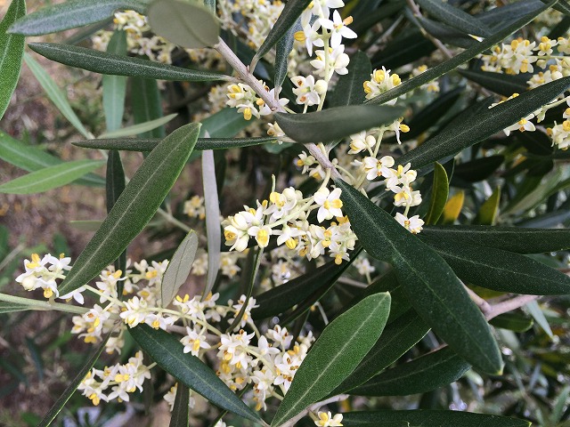 来年もよろしくお願いいたします