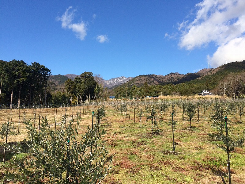 2017年 初農作業