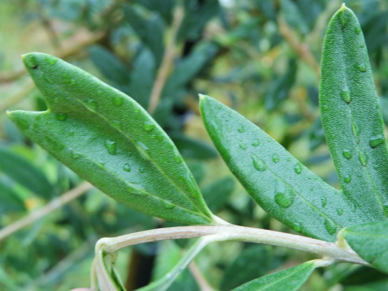 ♡ついに発見!!