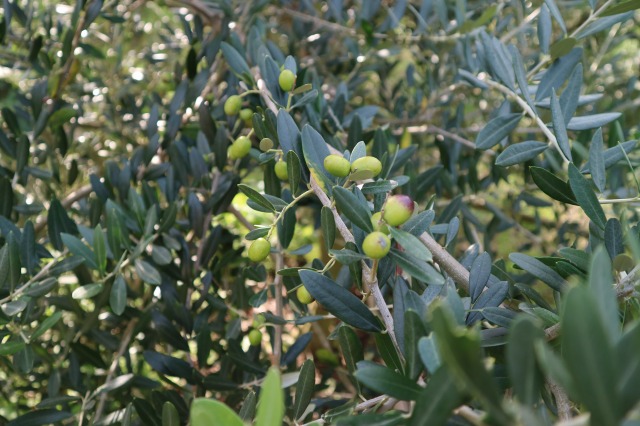 いよいよ・・・