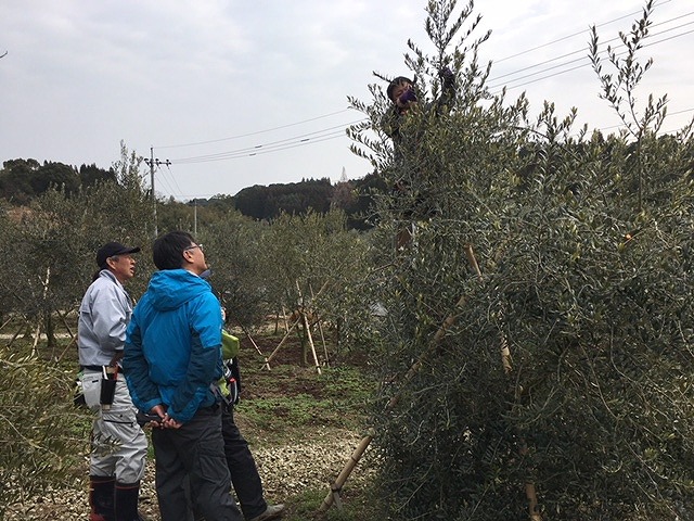 天草で研修です。