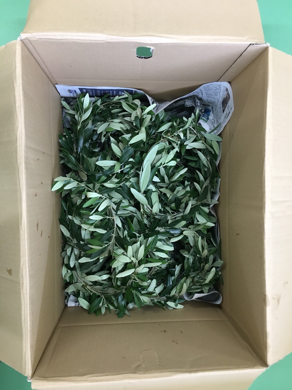 オリーブ冠製作しました