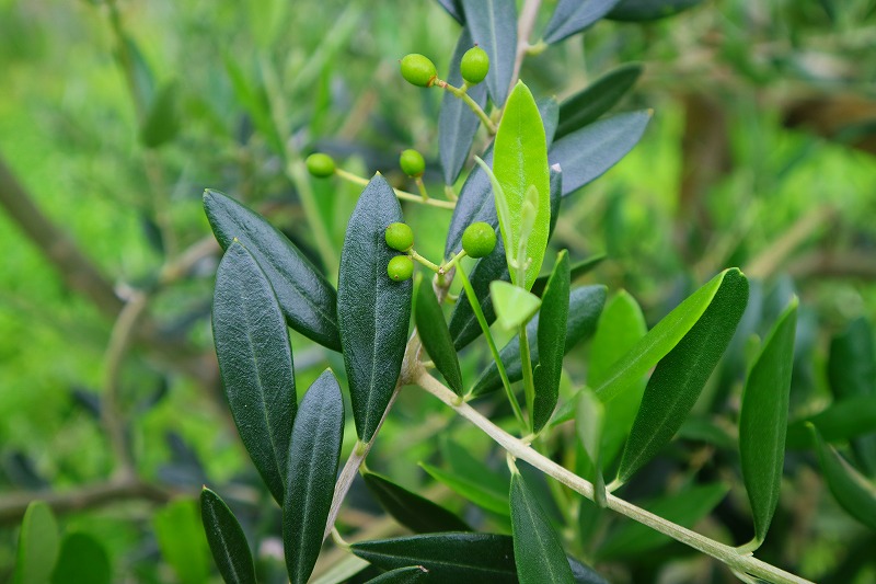 小さなハッピー♡