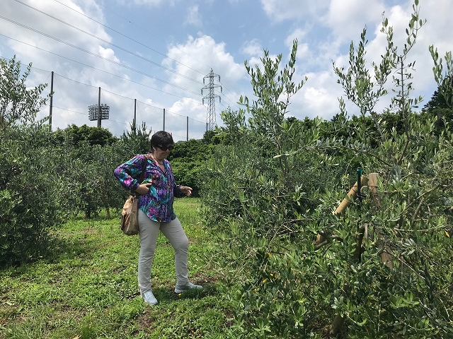 イタリアからのお客様