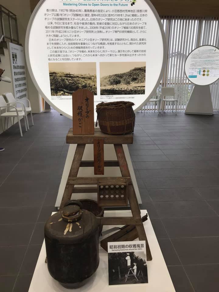 小豆島に行ってきました