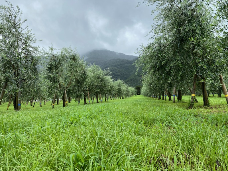 ずっと雨です．．．