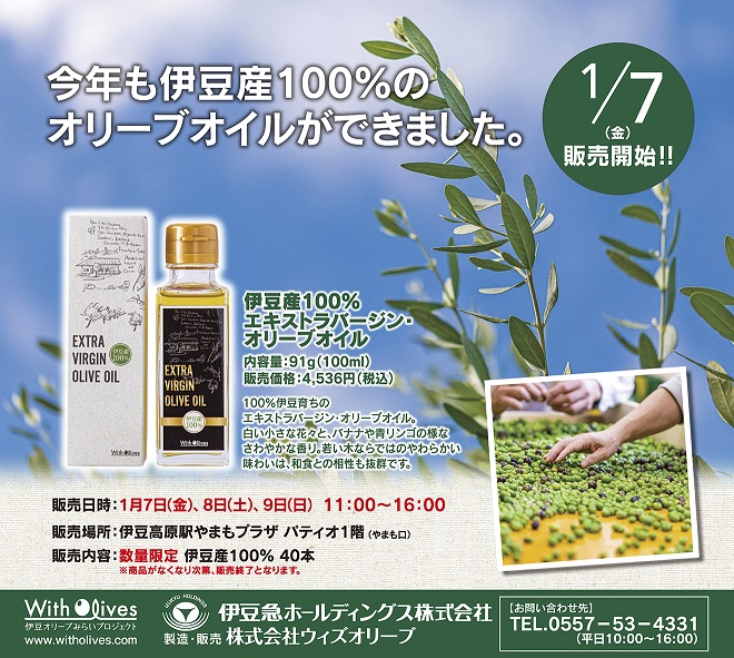 伊豆産100％エキストラバージンオリーブオイル販売のお知らせ