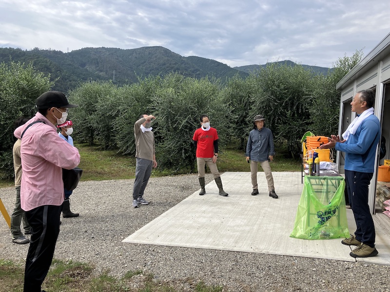 ペンドリーノの収穫＠片瀬圃場