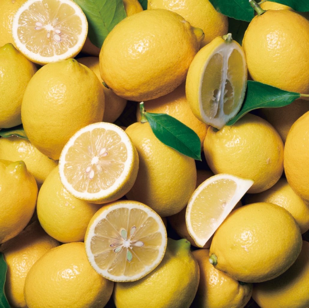 新ブランド wIZU OLIVEより、新商品を発売開始いたします